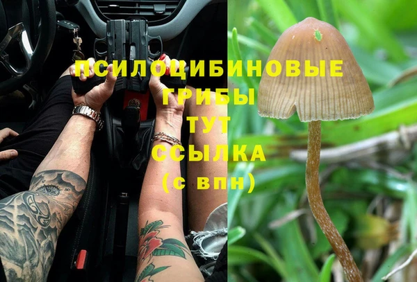 mdma Липки