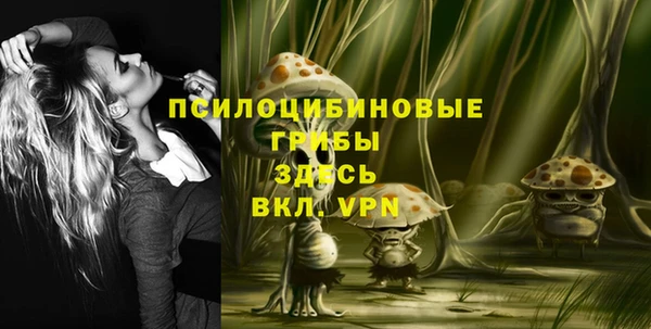 бошки Лихославль
