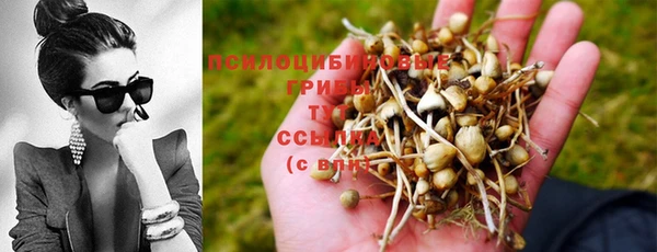 герыч Лиски